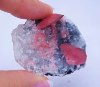 2668 BEAUTIFUL Pastel Rhodochrosite on Quartz LARGE 2  