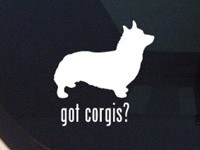 GOT CORGIS? PEMBROKE WELSH CORGI DOG DECAL   DOGS  