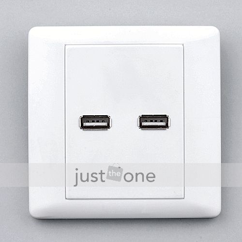 USB Ports Dual Type A Wall Plate Coupler Outlet Socket Panel Adapter 