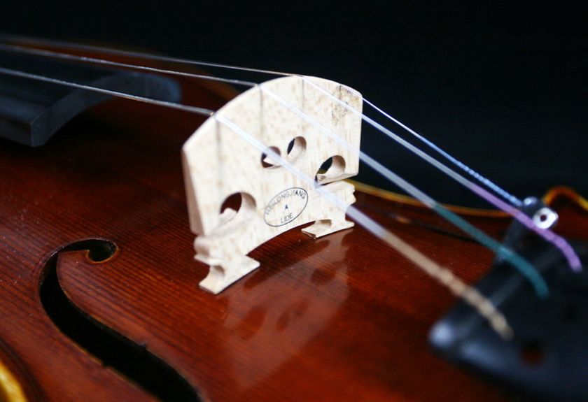 Our Unique High Grade BIRD EYES VIOLIN #0124 Very Powerful Tone 