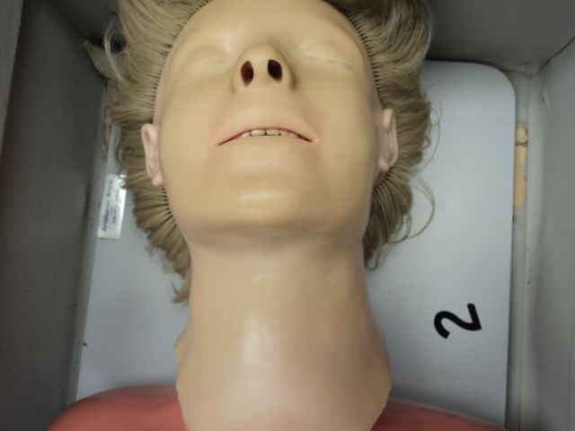 ANATOMIC ANNE TRAINING NURSING MEDICAL MANIKIN DUMMY  