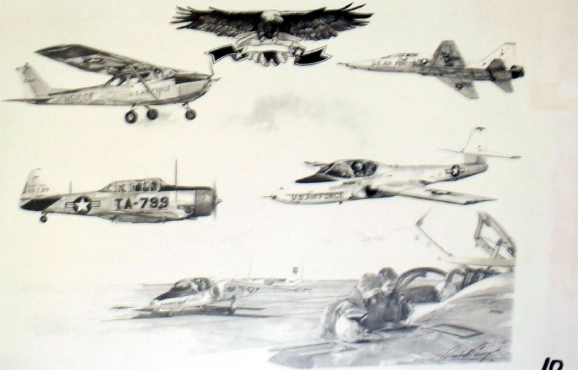 Aviation Art Business for Sale Signed Tuskegee Airmen  