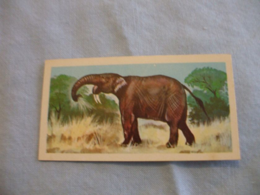 BROOKE BOND TEA CARDSPREHISTORIC ANIMALS 1972 BUY INDIVIDUALLY NOs 