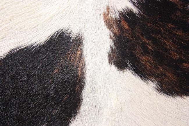 New Cowhide Rug Cowskin Cow Hide Skin Leather Bull Carpet Throw 