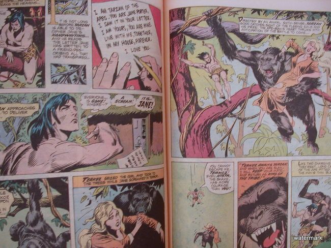 Tarzan of the Apes Return of Tarzan oversize comics  