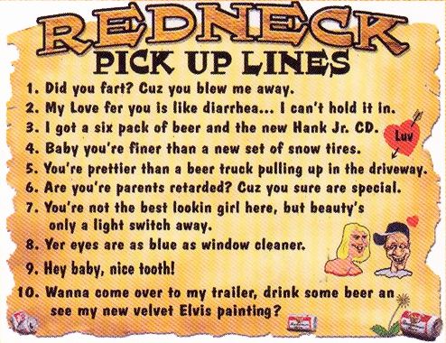 REDNECK PICK UP LINES T SHIRT FUNNY S,M,L,XL,2x,3X  