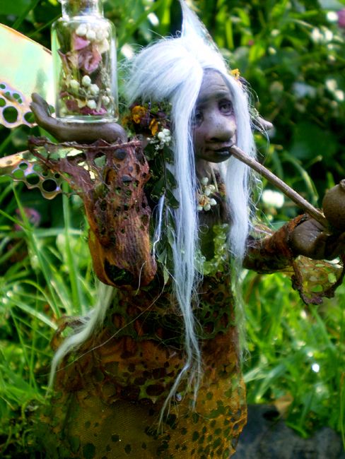 Native Aboriginal Crone Fairy  Celia Anne Harris  OOAK  