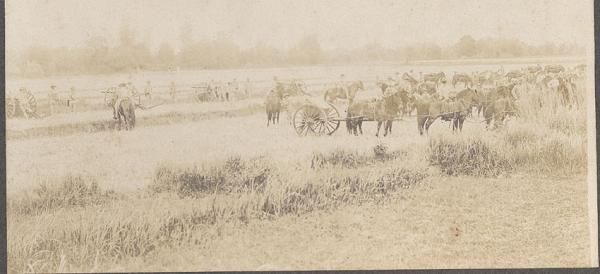   OF MEXICAN BORDER SERVICE PHOTOS ~ ARTILLERY & SUPPLY TRUCK  