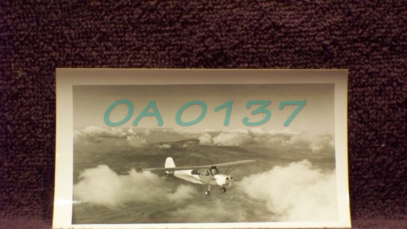 Vintage Plane Photo Aeronca 7 Champ   OA0137  