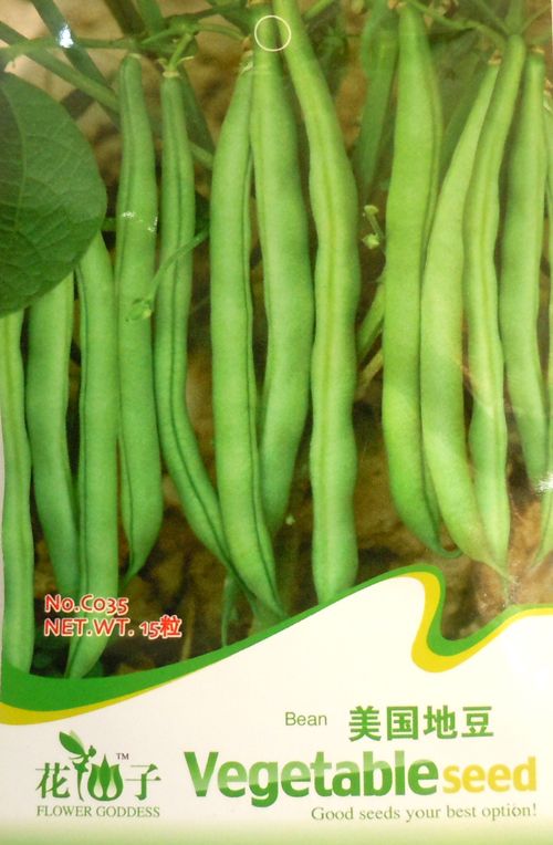 C035 Blue Pole Bean Big Crops Sweet Kentucky Seed Pack  