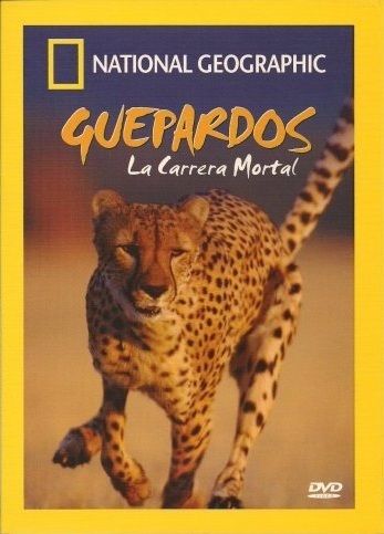 GUEPARDOS NATIONAL GEOGRAPHIC EN ESPANOL/ENGLISH  