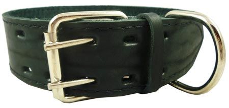 18.5 22 Studed Black Leather Dog Collar Amstaff 2  