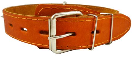 19 25Leather Dog Collar Spiked Orange  